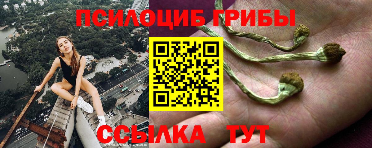 Гусь-Хрустальный  Псилоцибиновые грибы ЛСД  Вход с VPN  Псилоцибиновые грибы мицелий 
