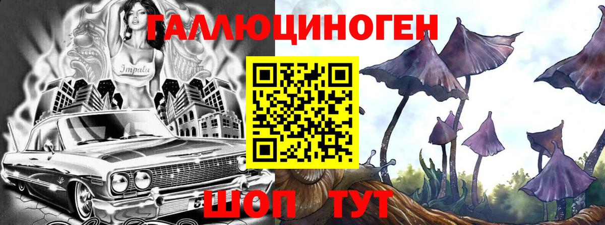 Псилоцибиновые грибы MAGIC MUSHROOMS Гусь-Хрустальный